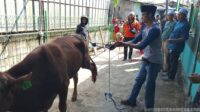 DPW FSPMI DKI Jakarta Tebar Kepedulian di Hari Raya Idul Adha, Perkuat Semangat Kebersamaan dan Keikhlasan DPW FSPMI DKI Jakarta Tebar Kepedulian di Hari Raya Idul Adha, Perkuat Semangat Kebersamaan dan Keikhlasan