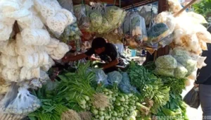 Tak Hanya Daging, Ini 6 Sayuran yang Berpotensi Memperparah Asam Urat