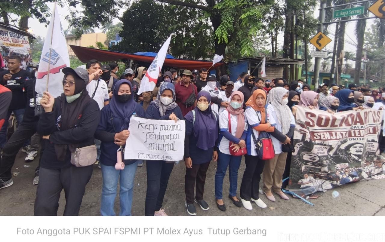 PUK SPAI FSPMI PT Molex Ayus Tutup Gerbang Perusahaan, Tuntut Pemenuhan Hak Normatif Pekerja