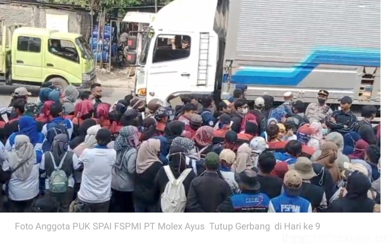 Tuntutan Hak Normatif Belum Terpenuhi, PUK SPAI FSPMI PT Molex Ayus Kembali Tutup Gerbang Perusahaan