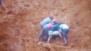 Longsor Tambang Nikel PT KDI di Konawe Utara, Empat Pekerja Meninggal Dunia