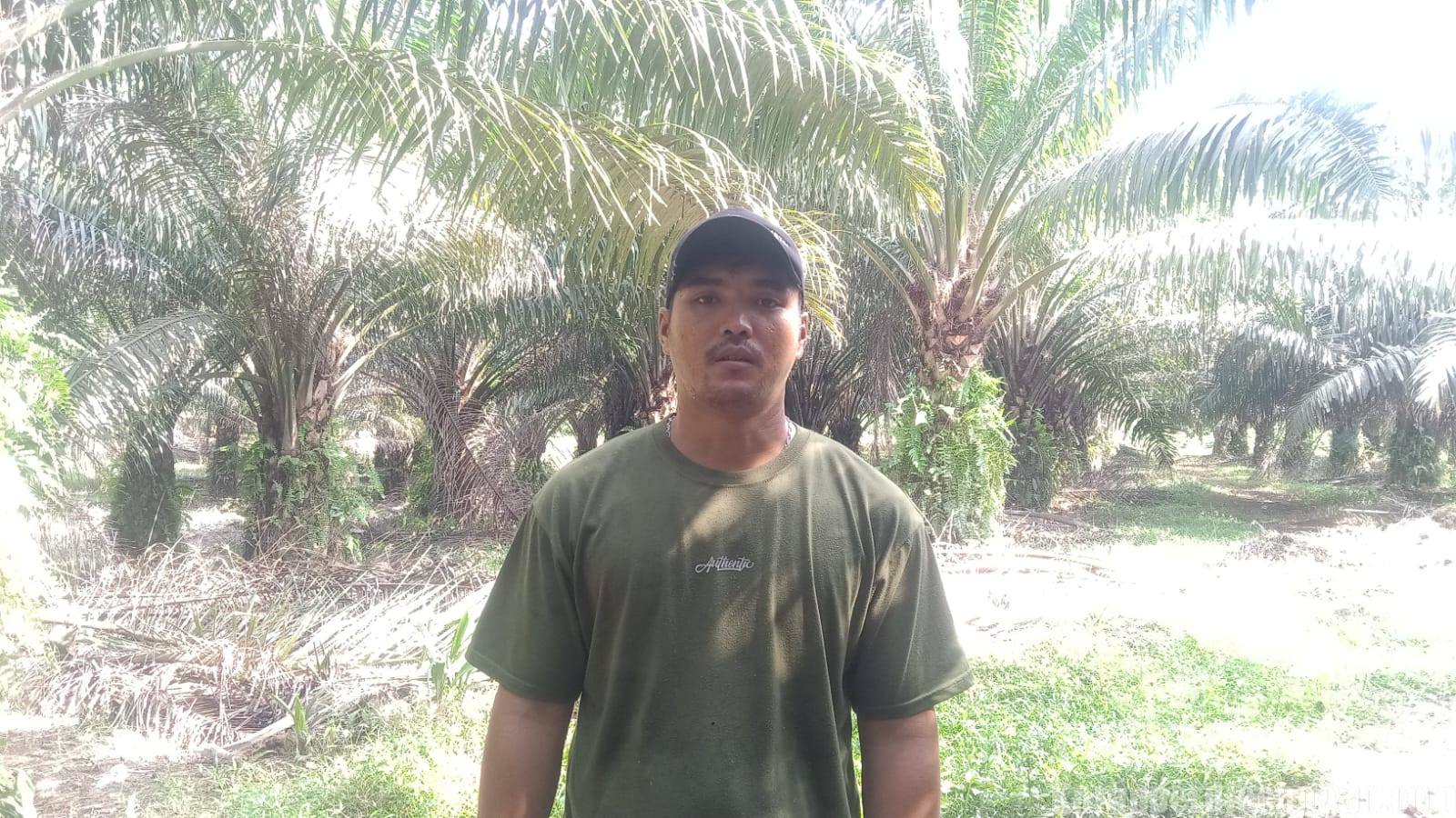 Dampingi Anggota Buat Laporan Dugaan Penganiayaan ke Polres, Ketua FSPMI PT FR ANJA Binanga Paluta diberi Sanksi Oleh Perusahaan