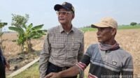 Menteri PU Minta Maaf kepada Petani Bekasi, Tujuh Bulan Sawah Mengering di Dekat Sungai