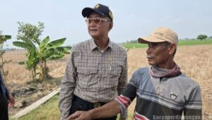 Menteri PU Minta Maaf kepada Petani Bekasi, Tujuh Bulan Sawah Mengering di Dekat Sungai