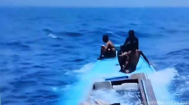 Kapal Ikan Bermuatan 5 Ton Tenggelam di Perairan Luwuk