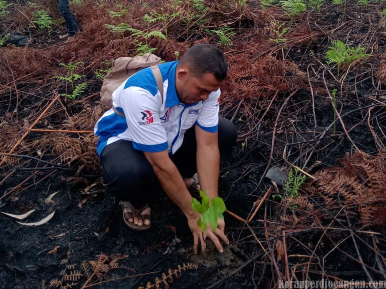 Serikat Pekerja FSPMI PT Asian Agri Penuhi Undangan Polda Riau, Ikut Penanaman Pohon di Siak
