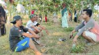 Siap-Siap! Bang Jali Grape Buka Wisata Petik Anggur Pertengahan November, Buruh Kreatif Bangun Ekonomi Keluarga