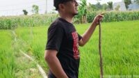 Dari Buruh Harian Lepas hingga Turun ke Jalan, Inilah Alasan Imam Memilih FSPMI