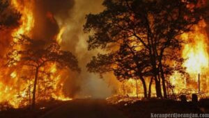 Hutan yang Menangis