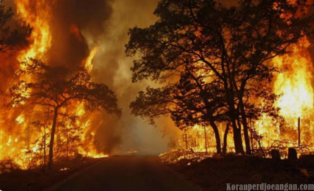 Hutan yang Menangis